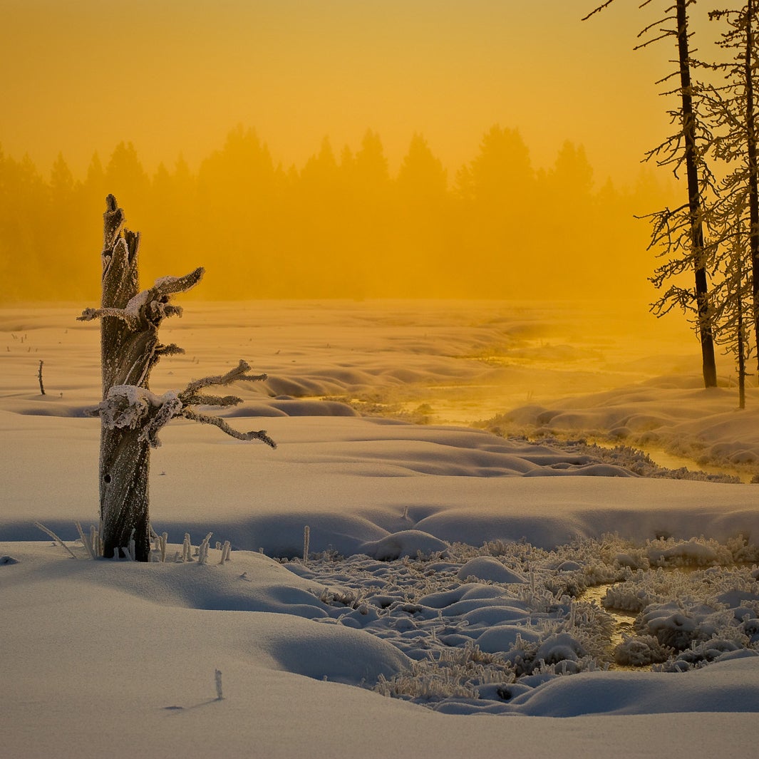 Yellowstone in winter is full of surprises.  This beatutiful location was just off the road at sunrise between Old Faithful and Madison Junction.