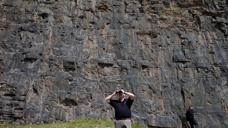 McWilliam scanning the Rhondda cliffs
