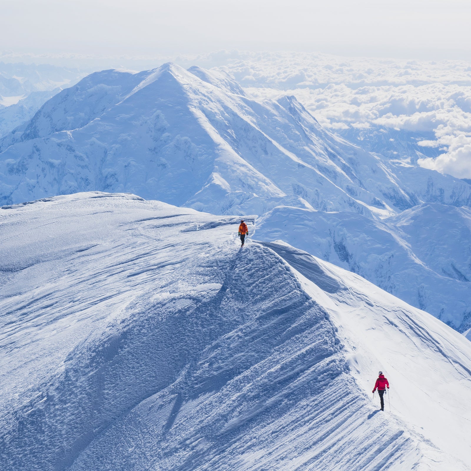 But for temporary visitors to the highest places on earth, Barcroft’s claim is self-evident: mountains make you weak and stupid.