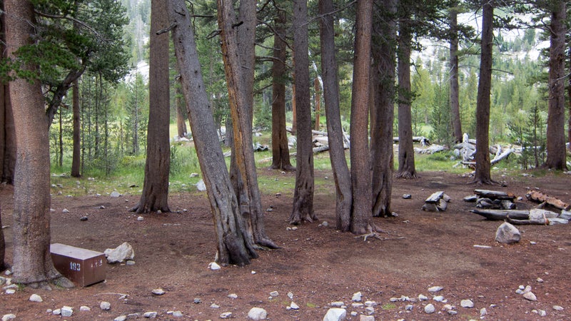 A permanent bear box (lower left) at a high-use campsite on the John Muir Trail