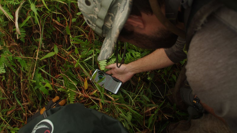 A climber checks the height of P952.