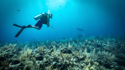 Belize Barrier Reef.