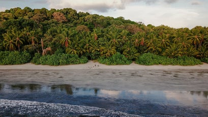 Colba National Park, Panama.