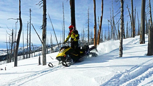 A snowmobiler riding illegally in a federal wilderness area in Western Montana earlier this month