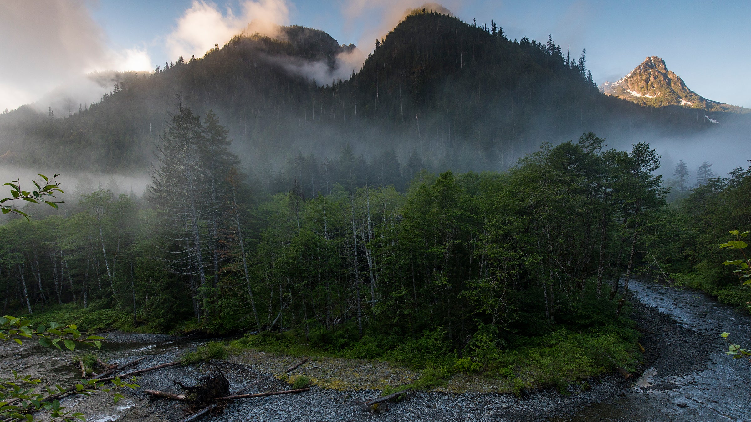 The problem, in a word, is politics.