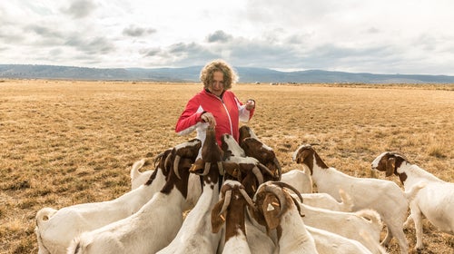 Goat meat: It's good for you, good for the planet, and it's delicious.