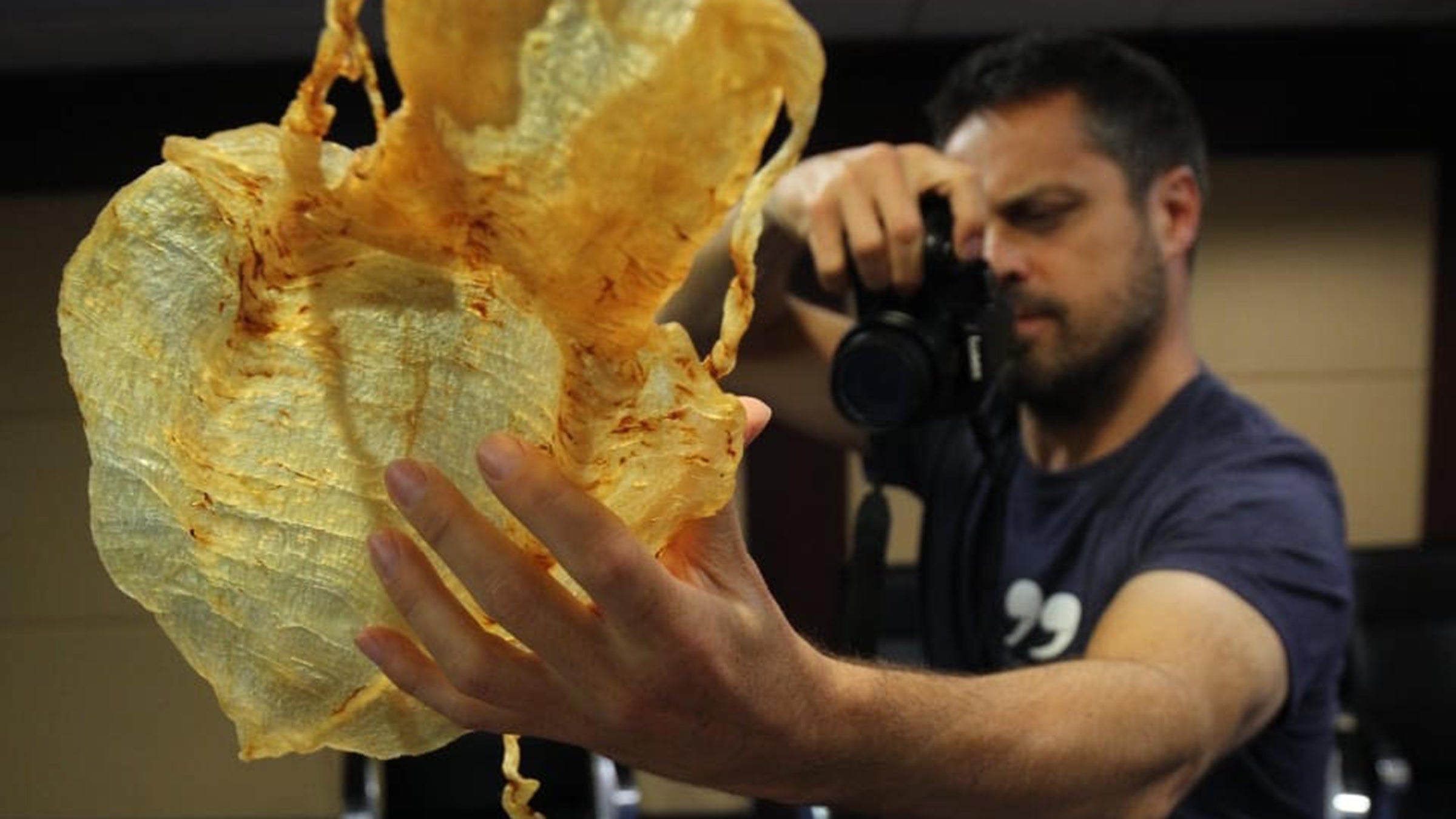 Andrea Crosta photographs a totoaba swim bladder, which fishermen sell to traffickers for about $3,500 each.