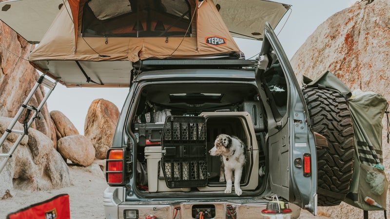 These things aren't small, and aren't easy to pack. But making room for one will make your dog's life much more comfortable, and substantially safer.