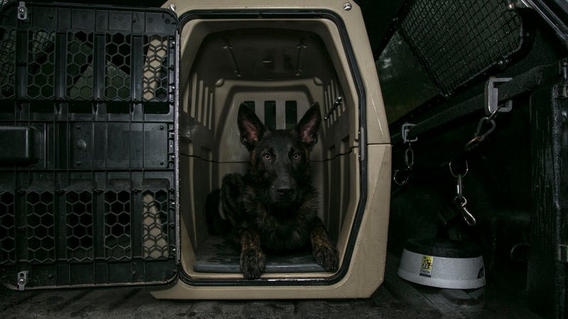 The G1 is finding popularity with the military, police departments, and search and rescue workers. Edmonds describes their dogs as, "The most valuable and important dogs in the world."Both the NYPD and Gunner's local department in Nashville use G1s to house and transport their working dogs.