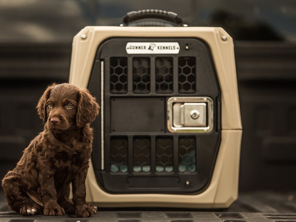 For safety, a crate should be sized as close to the proportions of your dog as possible.