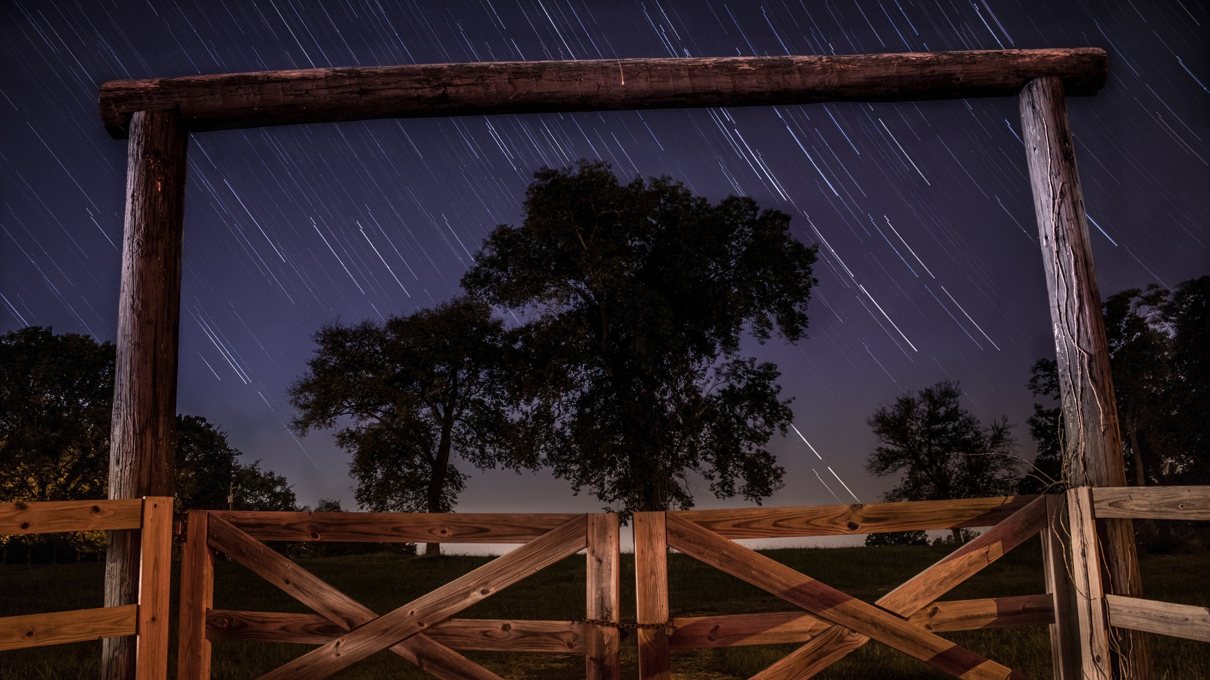 The definitive guide to getting photos like these.