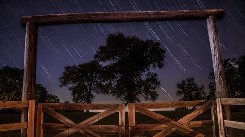 The definitive guide to getting photos like these.