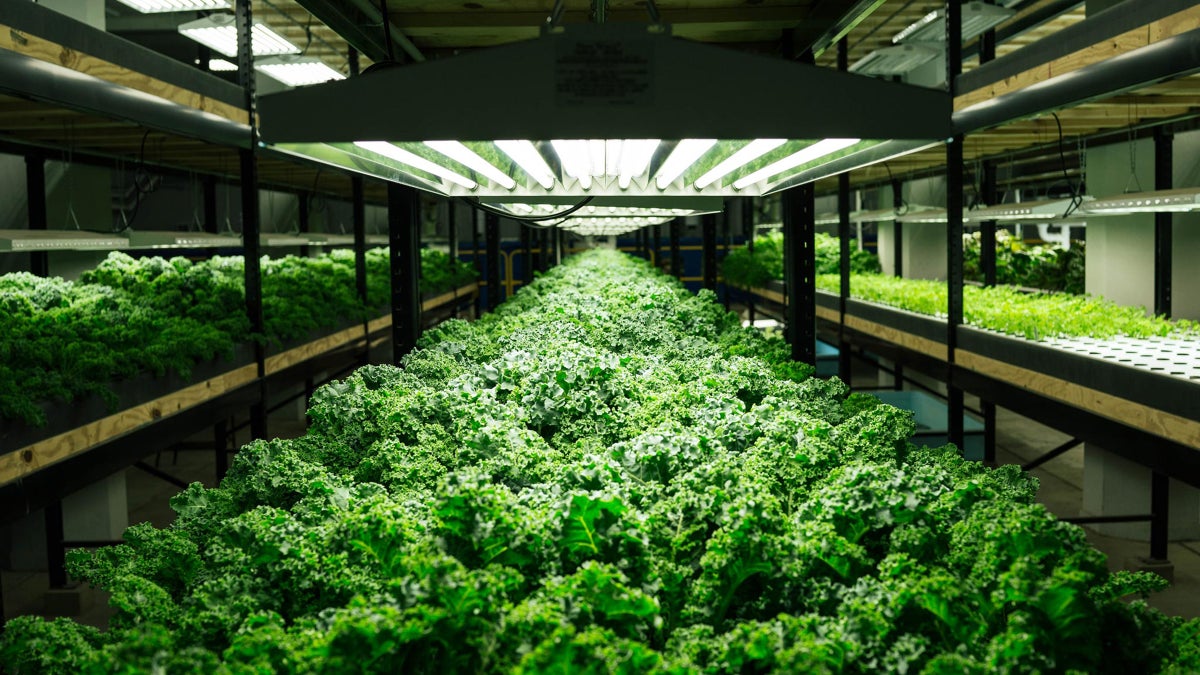Urban Organics Wants to Fix Food