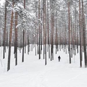 This is all the gear our editors are buying at REI's Winter Clearance sale.