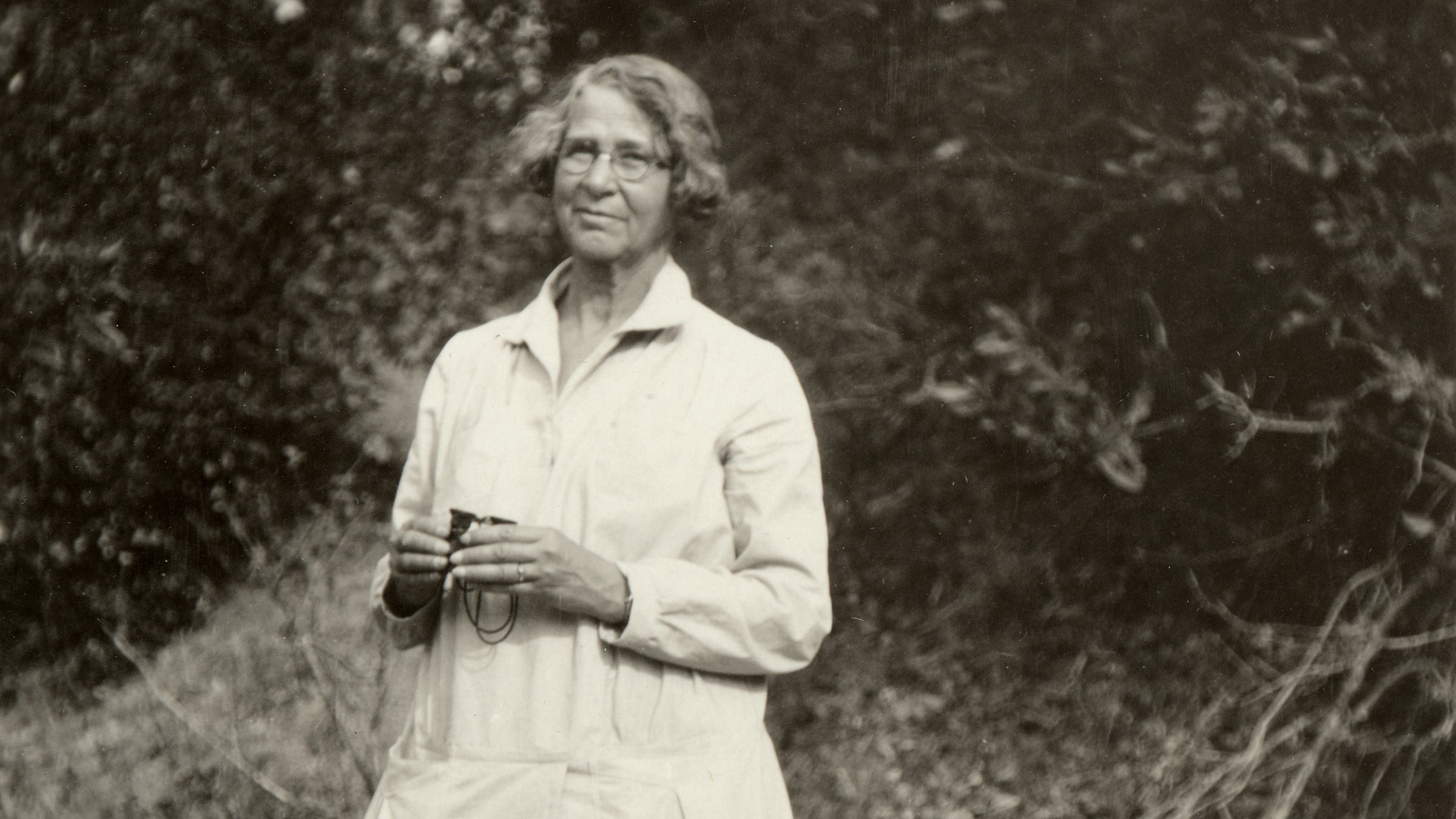 Over the course of her career, Mexia collected nearly 150,000 specimens, described about 500 new species, and discovered two new genera.