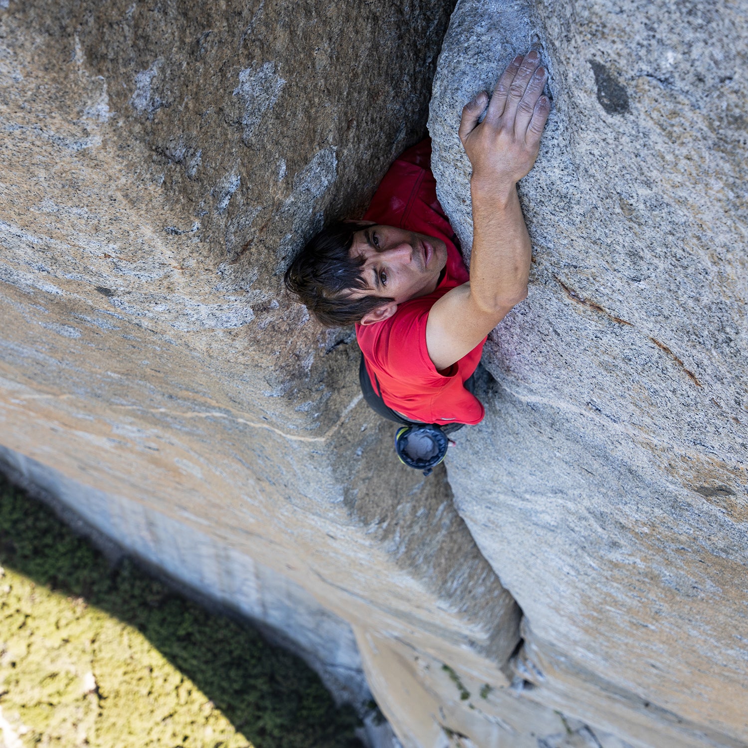 How to Watch Free Solo Online