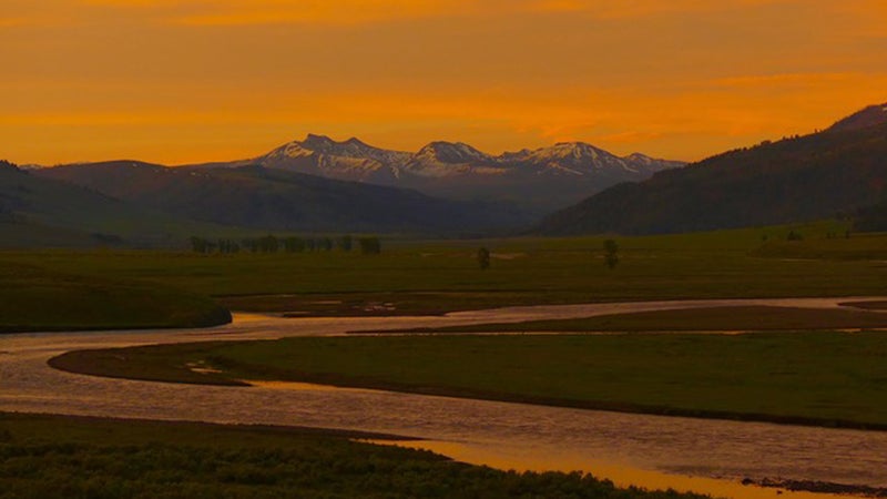 Lamar Valley at sunrise