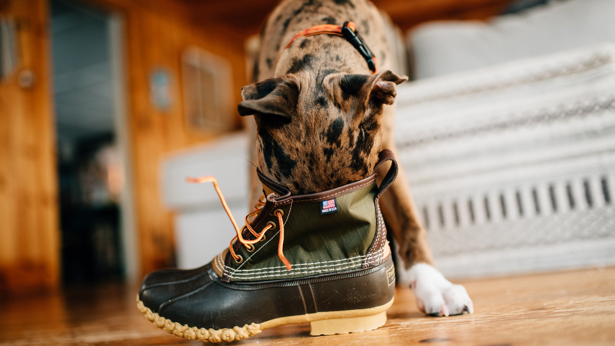 Ll bean outlet dog boots