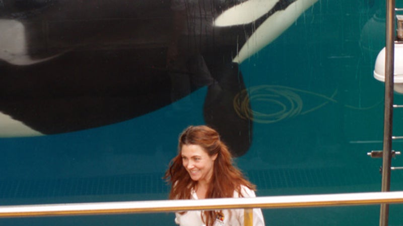 Suzanne Allee, who worked at Orca Ocean from 2006 to 2009.