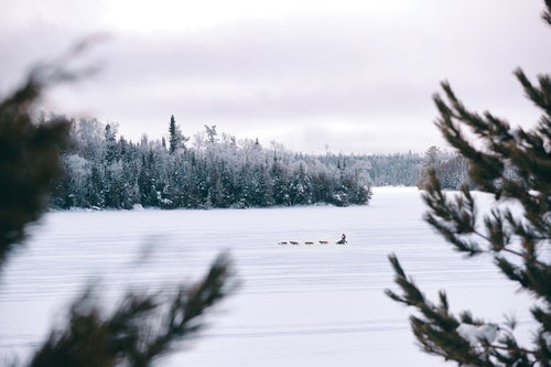 A frosty, serene landscape frames an iconic moment during the Gunflint Mail Run Sled Dog Race.