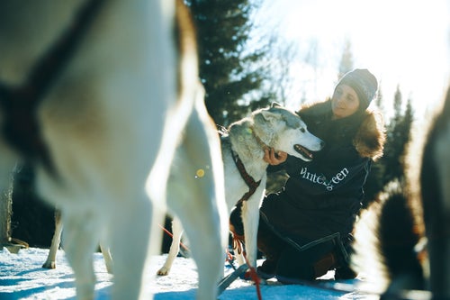 The Frekings own and operate Manitou Crossing Kennels, where they house and care for more than 60 purebred Siberian Huskies.