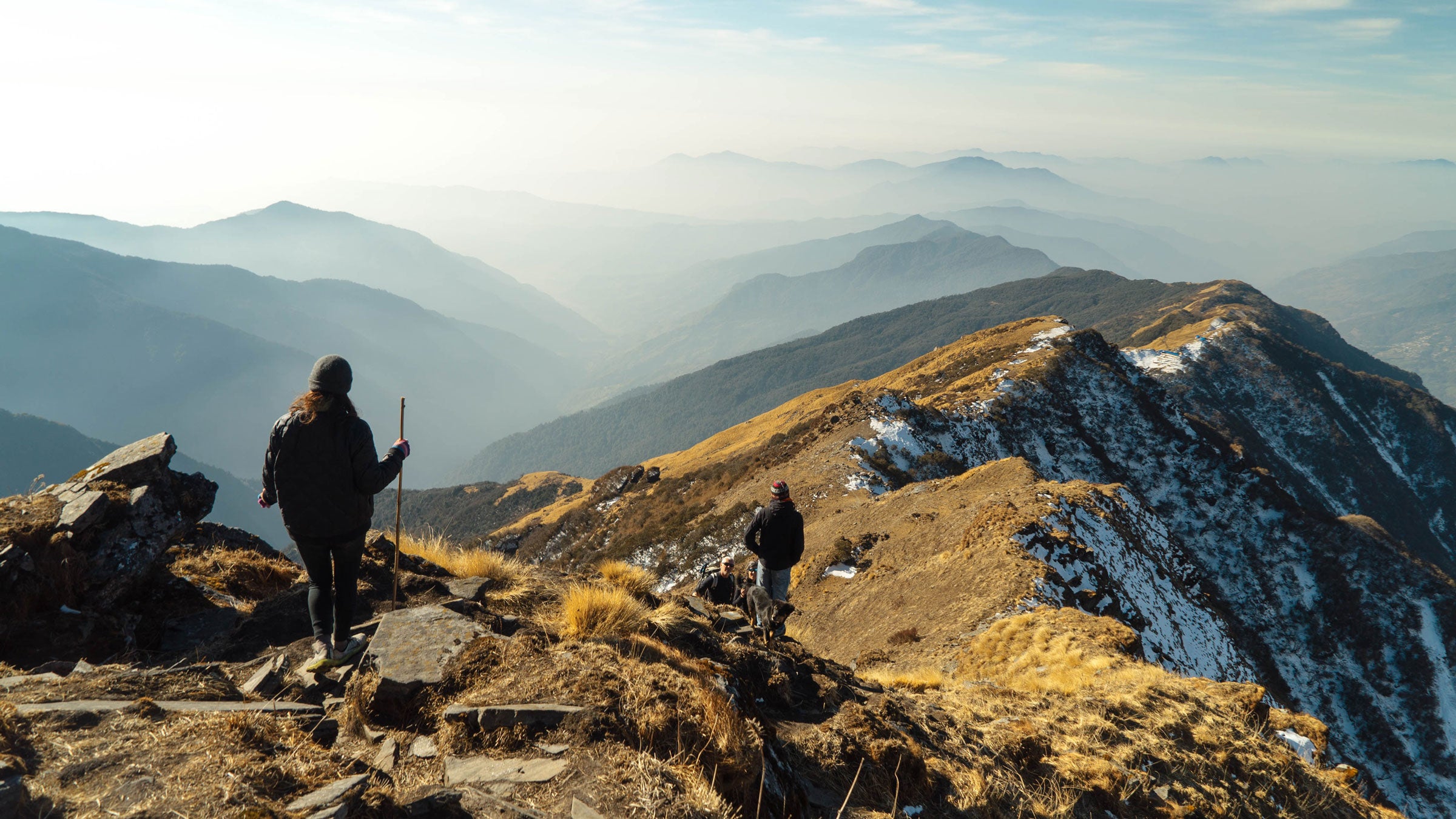 REI dividend season is here. What are you going to spend yours on?