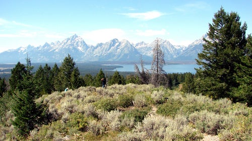 A hiker viewing the Grand Tetons and Jackson Lake in Wyoming