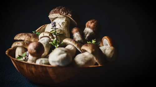 We predicted that mushrooms were going to be America’s next big food darling.