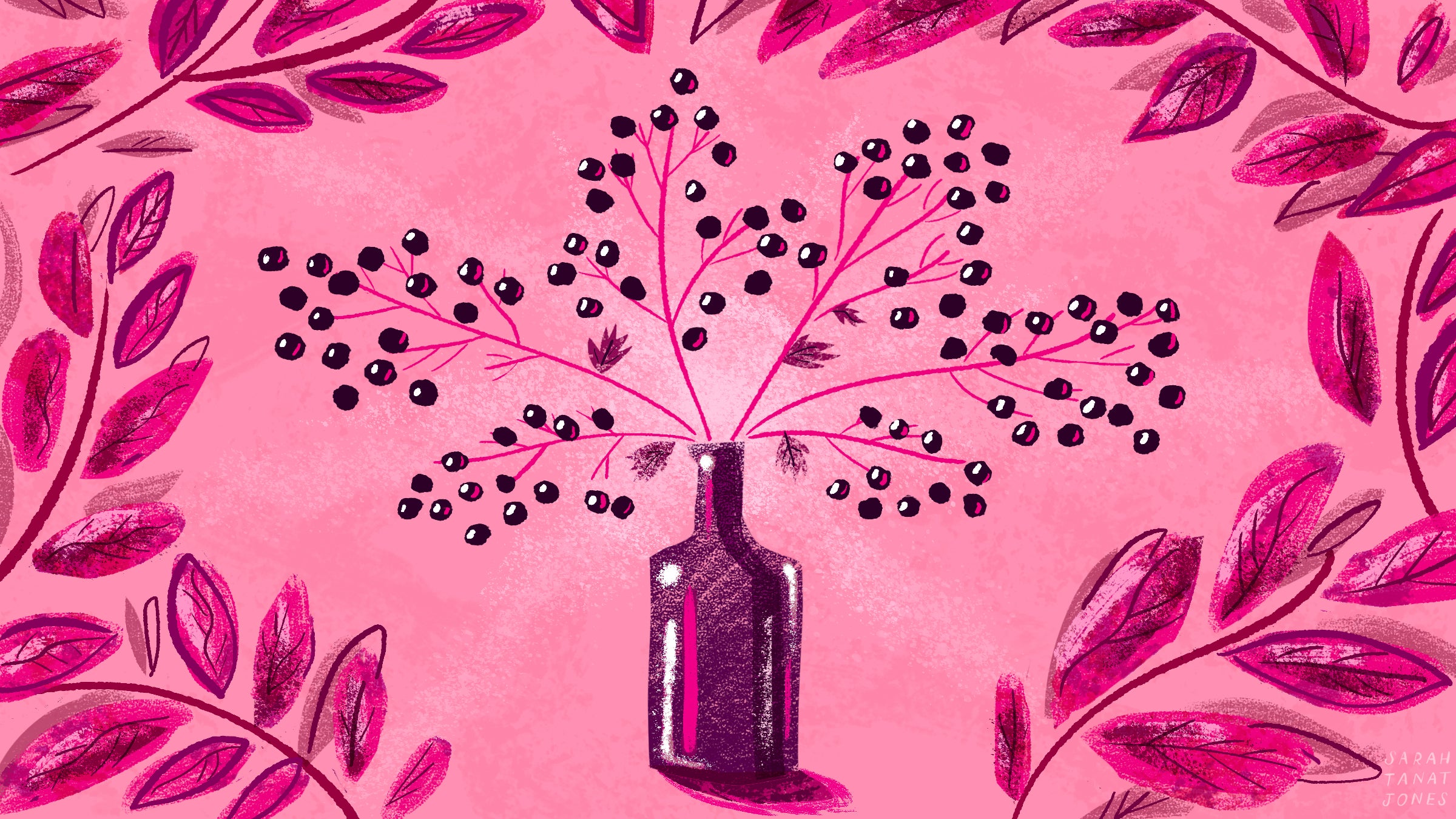 Is elderberry actually a cure-all or is it just snake oil?