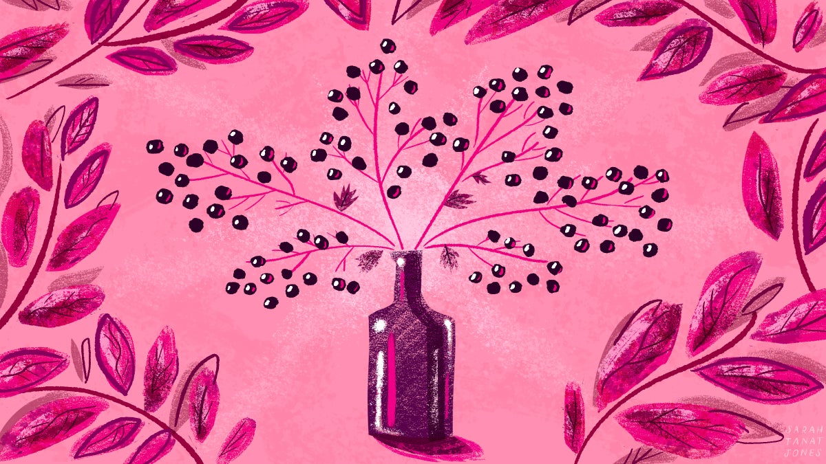 Why Elderberry Has a Cult Following as a Cold Cure