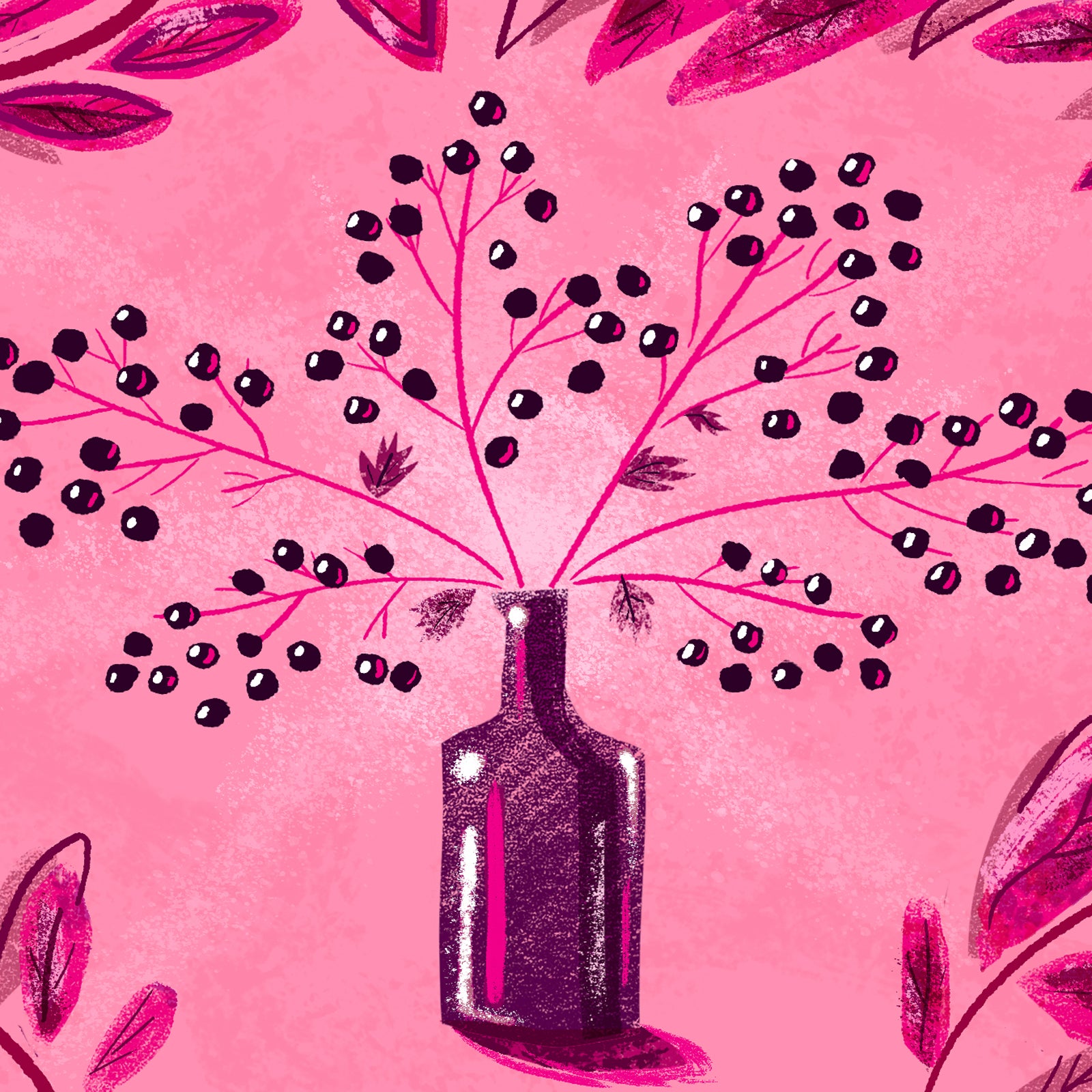 Is elderberry actually a cure-all or is it just snake oil?