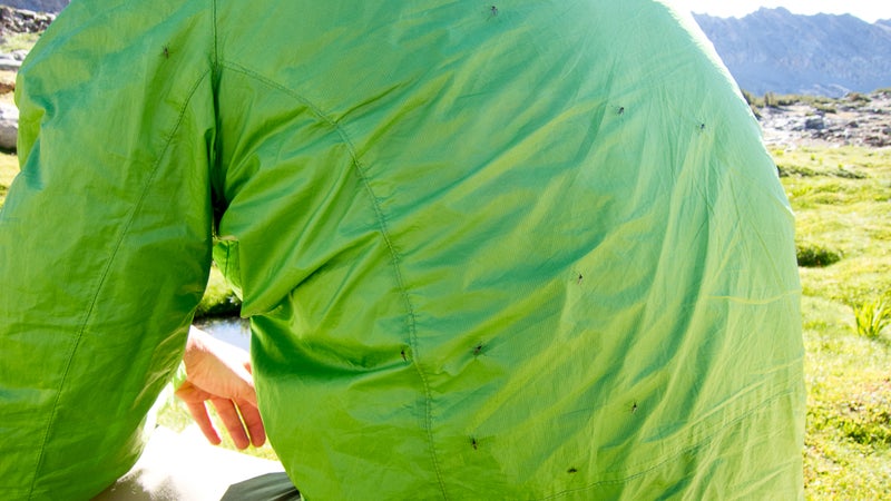 With all the moisture, the bug season will be long and intense.