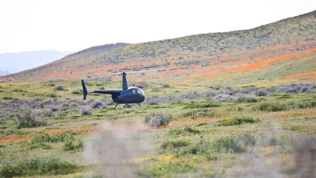 Please Don't Land Your Helicopter on the Super Bloom