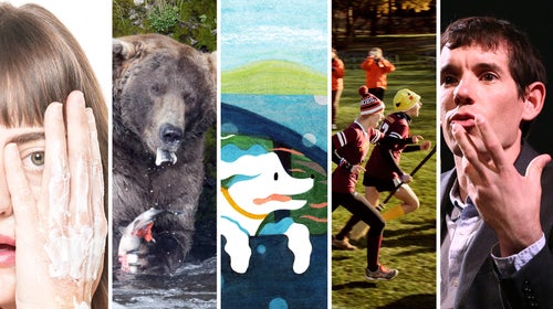 Guaranteed to make you smile