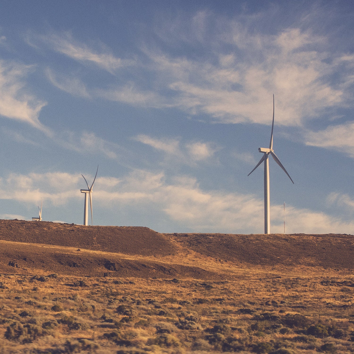 While federal lands hold significant oil, gas, and coal reserves, they also have some of the nation’s best solar and wind resources.