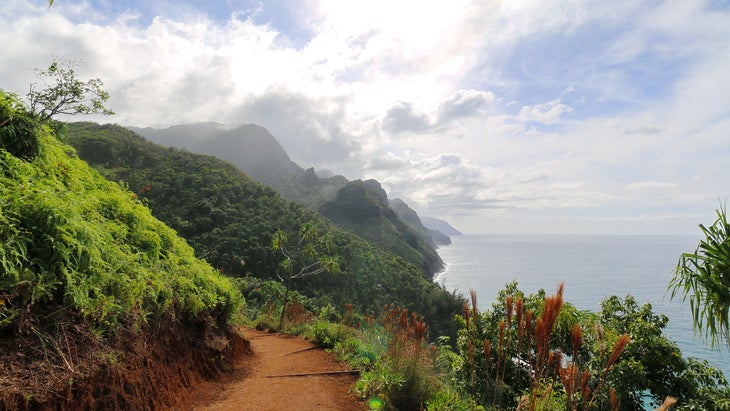 a dirt trail looking over the ocean and lush, green mountains