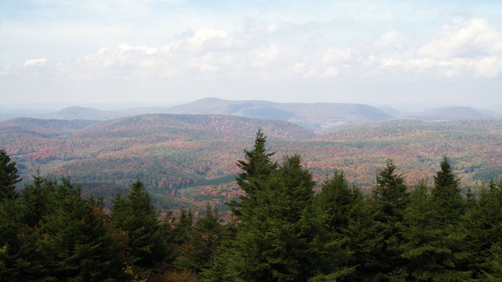 lookout over forest and mountains