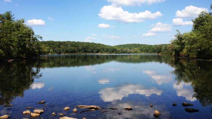 a pond reflecting the blue sky, surrounded by green trees