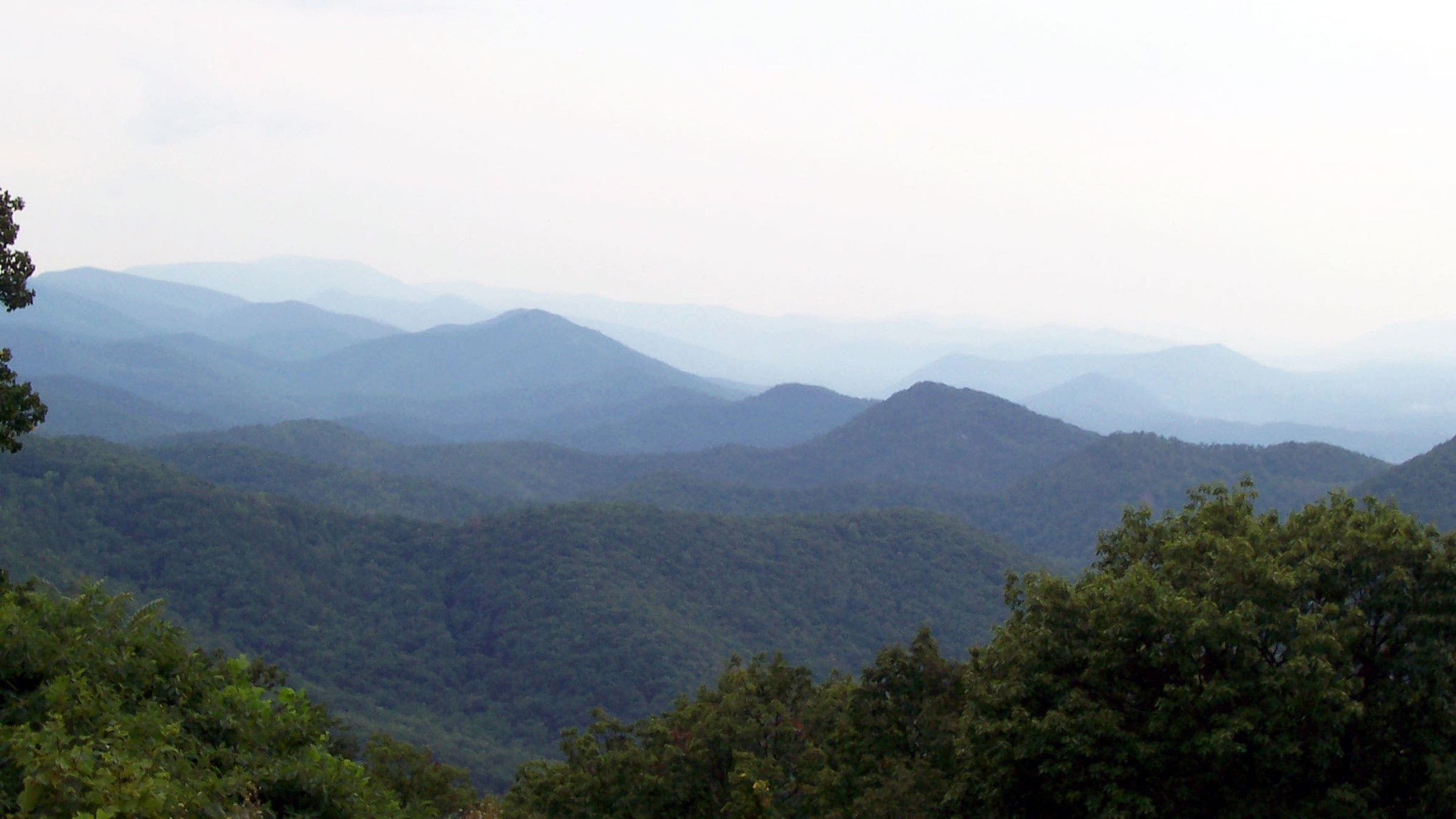 hazy blue mountain peaks over green trees