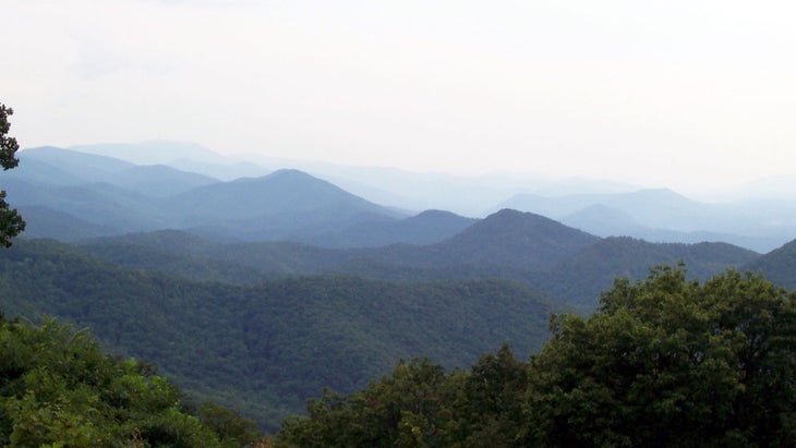 hazy blue mountain peaks over green trees