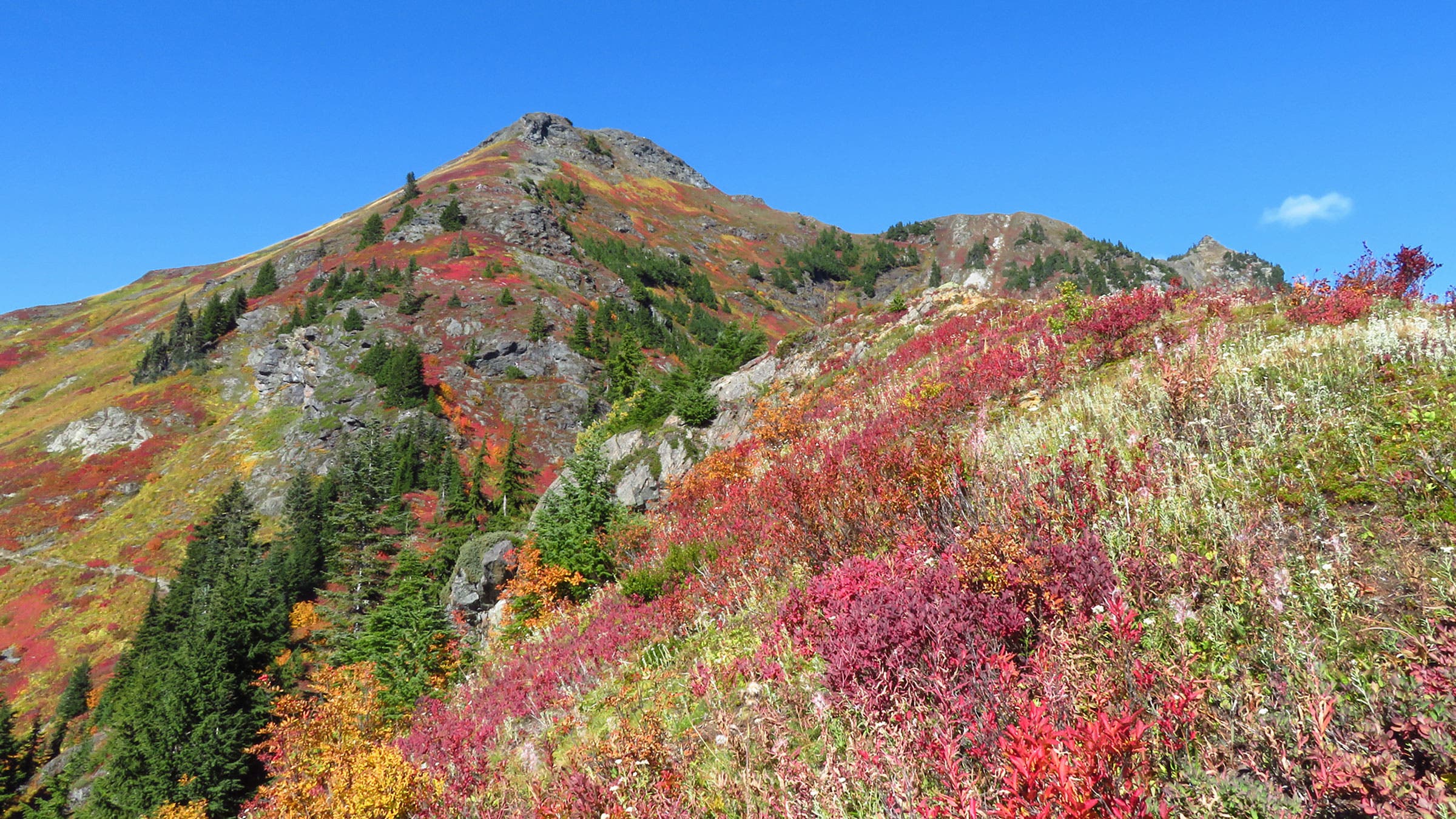 fall colors: reds, yellows, oranges, above treeline on rocky mountain