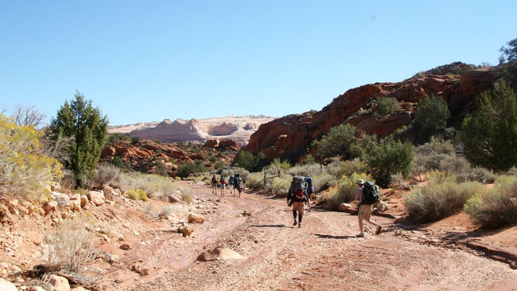 backpackers on dirt trail over flat land