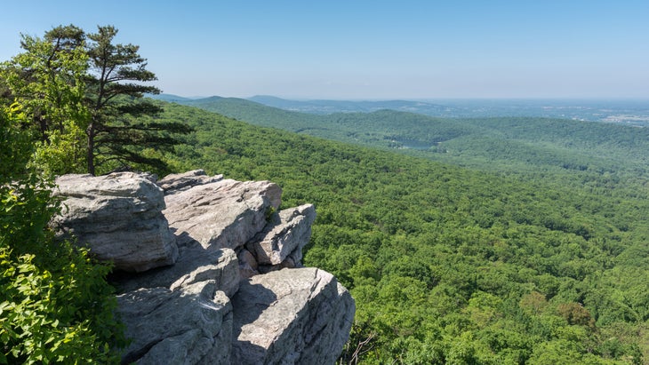 cliff overlooking green woods 