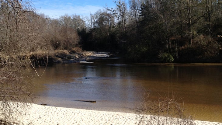 brown creek against woods, blue sky