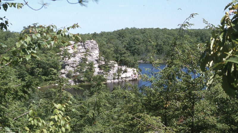 Ell Pond. Woodland of Oak / Pitch Pine. South West Rhode Island