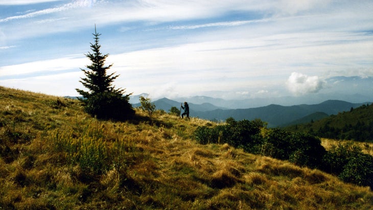 a distant hiker above the treeline on a mountain