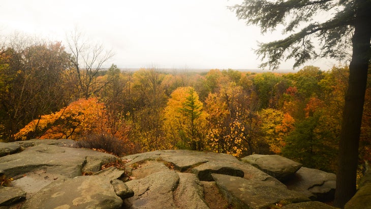 vista over trees with yellow fall leaves