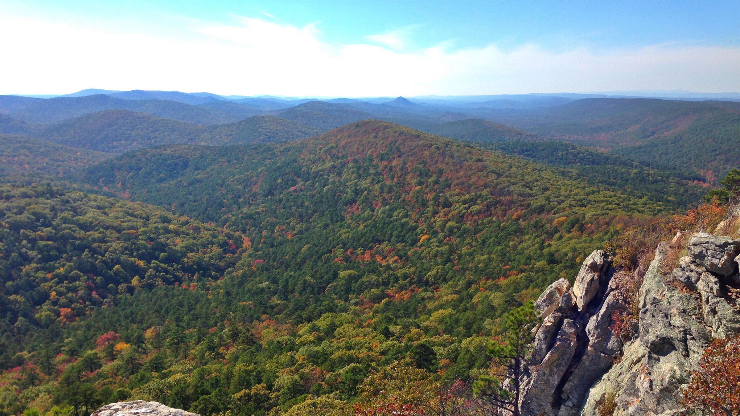 high viewpoint over forest with hills in the background. the start of fall leaves sprinkled in.
