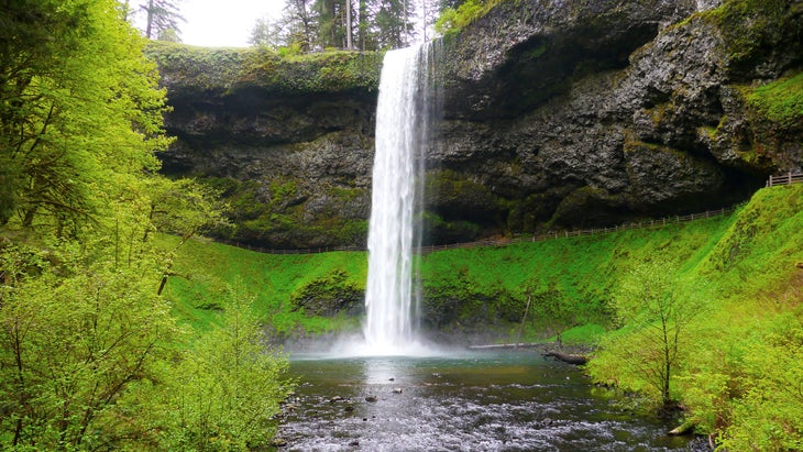 white waterfall surrounded by greenery