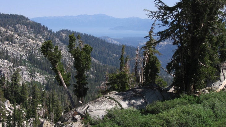 wooded mountain lookout